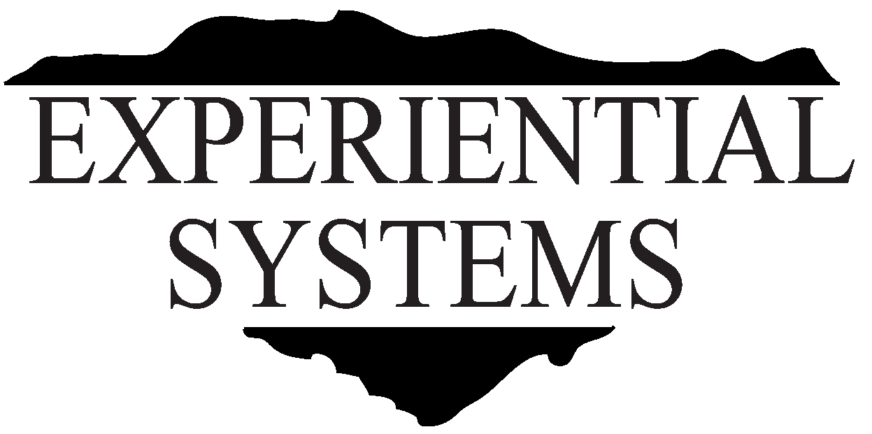 Experiential Systems Inc.